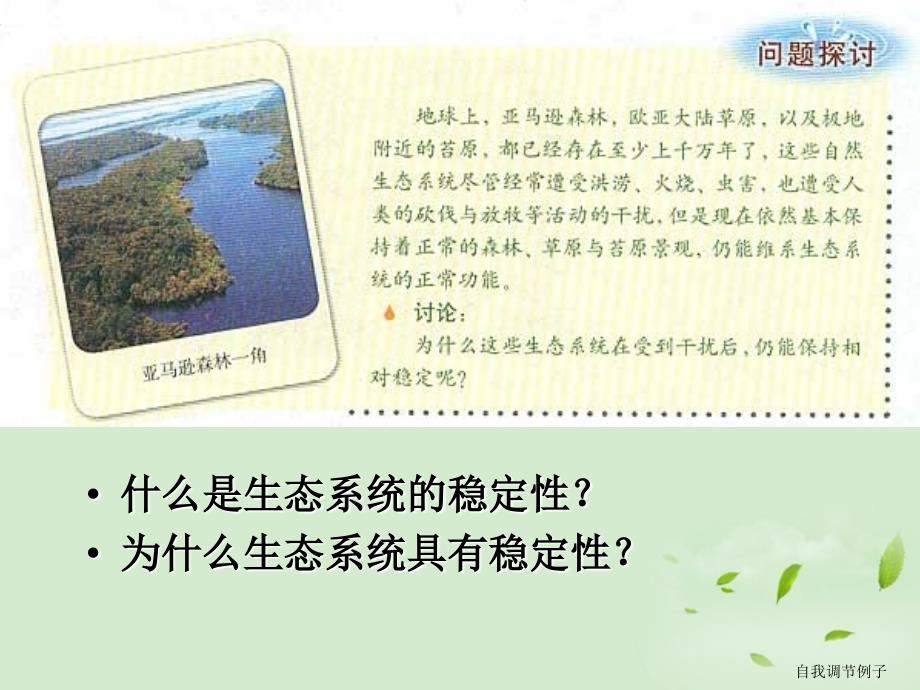 山东省2012高中生物备课资料 《生态系统的稳定性》课件 新人教版必修3_第2页