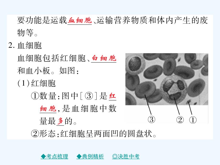 2018中考生物总复习 专题突破四 生物圈中的人 第3讲_第3页