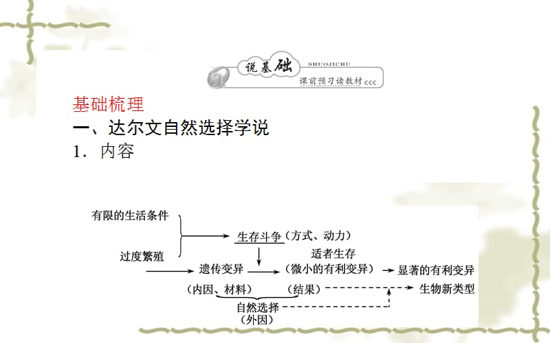 【师说系列】2014高考生物一轮复习 2.4.4现代生物进化理论课件 新人教版必修2_第2页