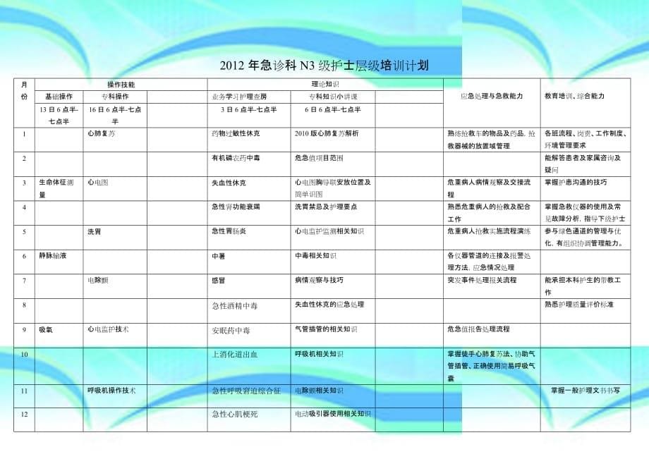 NN能级护士培训计划_第5页