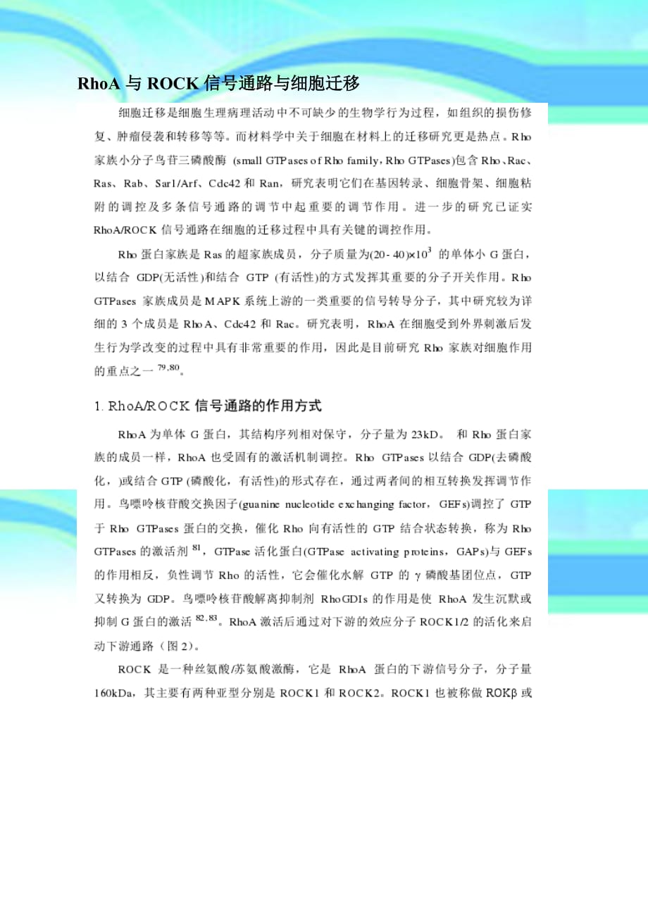 RhoA与ROCK信号通路与细胞迁移_第3页