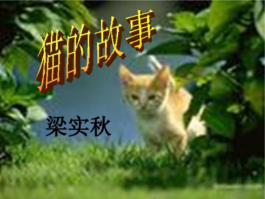 猫的故事 第一课时课件_第3页