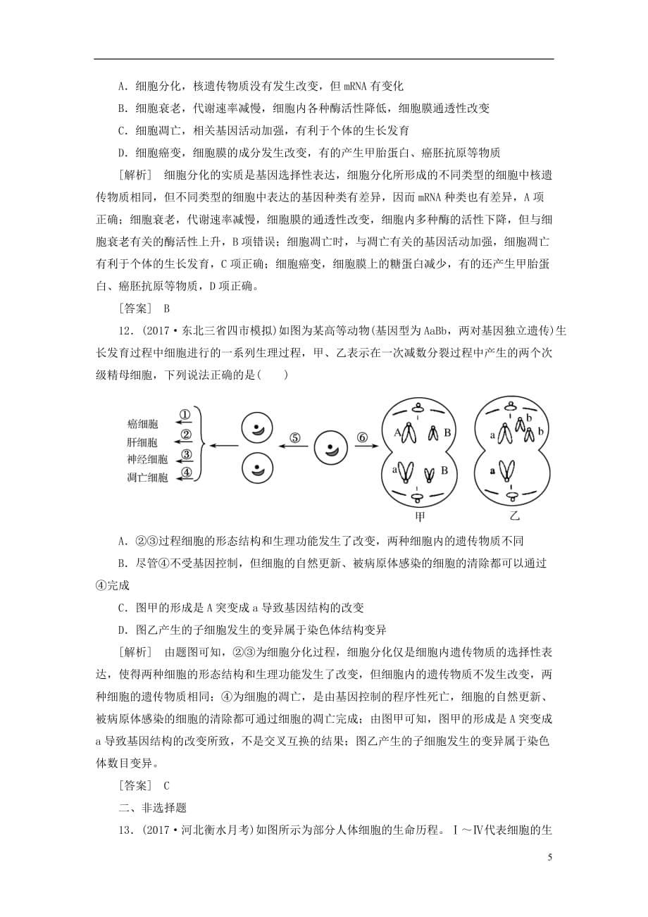 最新高考生物二轮复习专题二细胞的生命历程跟踪强化训练6细胞的分化衰老和凋亡_第5页