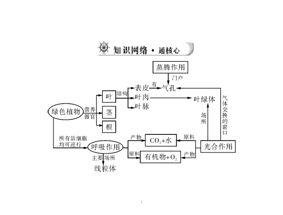 中考生物复习： 绿色植物的作用ppt课件_第3页