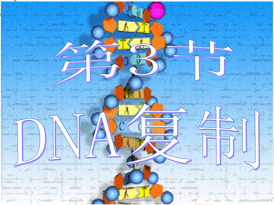 高一生物 DNA的复制2 课件必修1_第1页