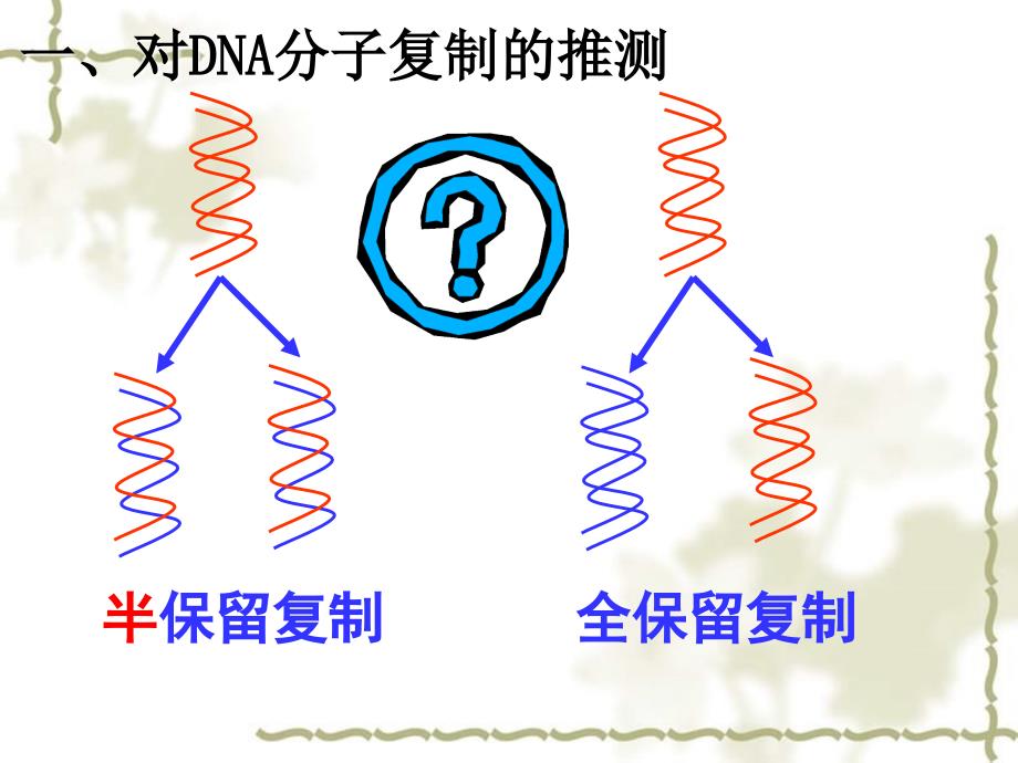 高一生物 DNA的复制2 课件必修1_第4页