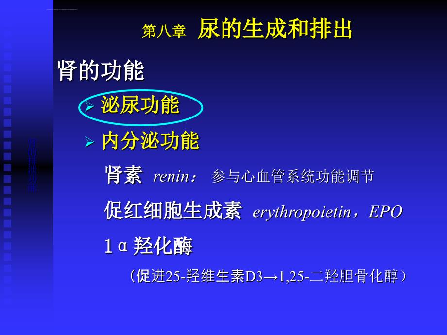 生理学课程_泌尿(人卫第七版)课件_第3页