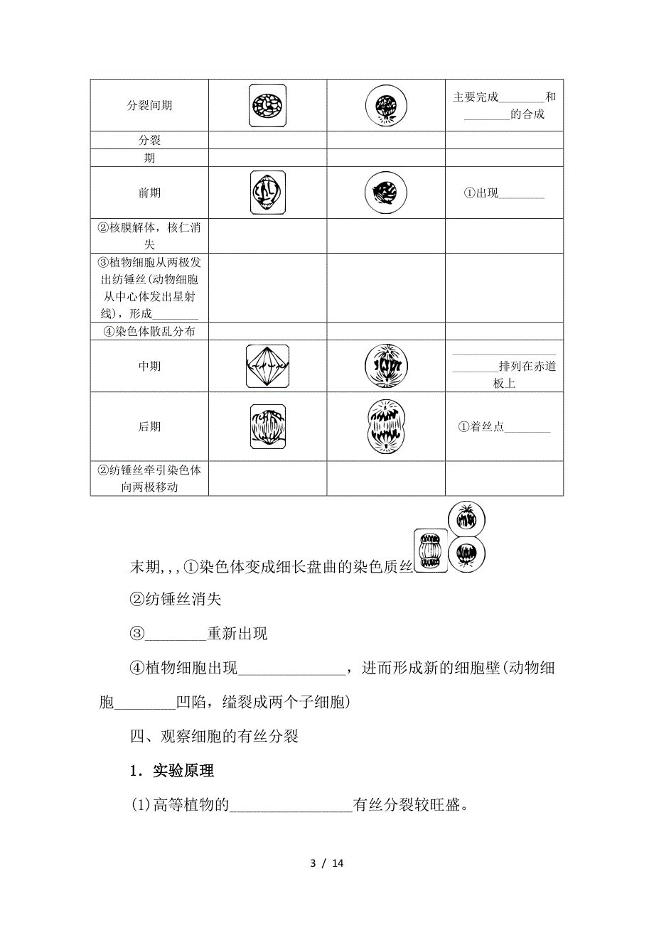 最新高考生物一轮总复习 第4单元 细胞的生命历程 第1讲 细胞的增殖1学案_第3页