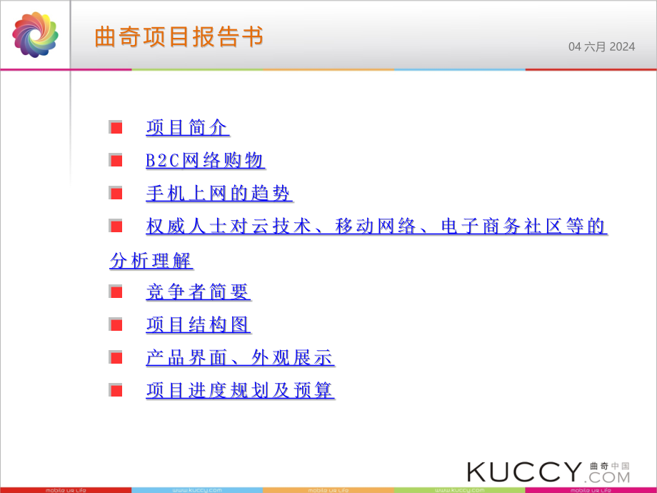 电商网战略规划精编版_第2页