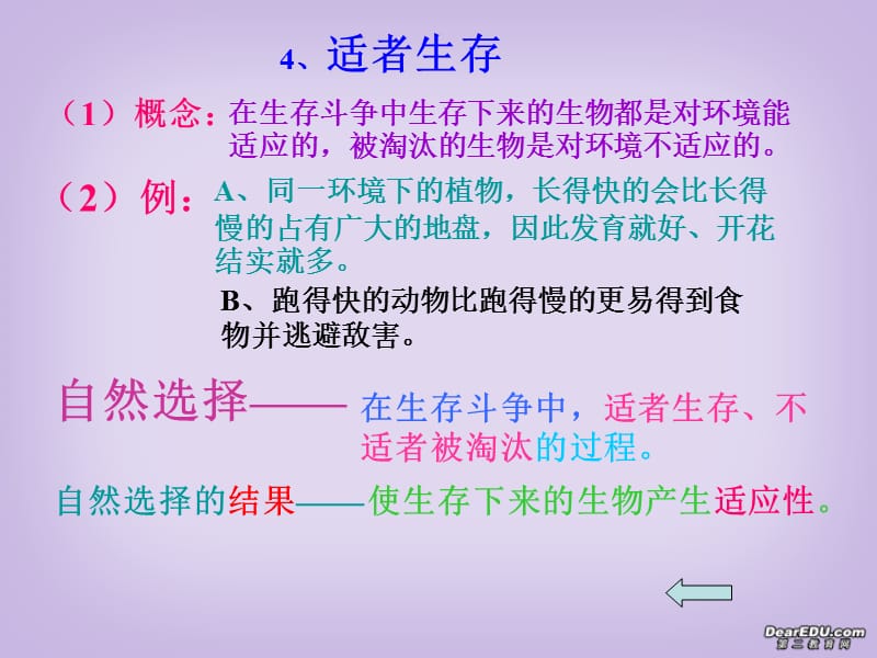 进化课件 新课标 人教版_第5页