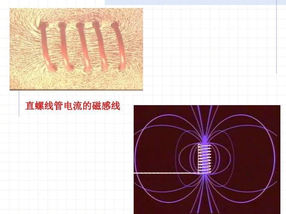电磁学第1讲――磁场 磁感强度 毕-萨定律课件_第5页