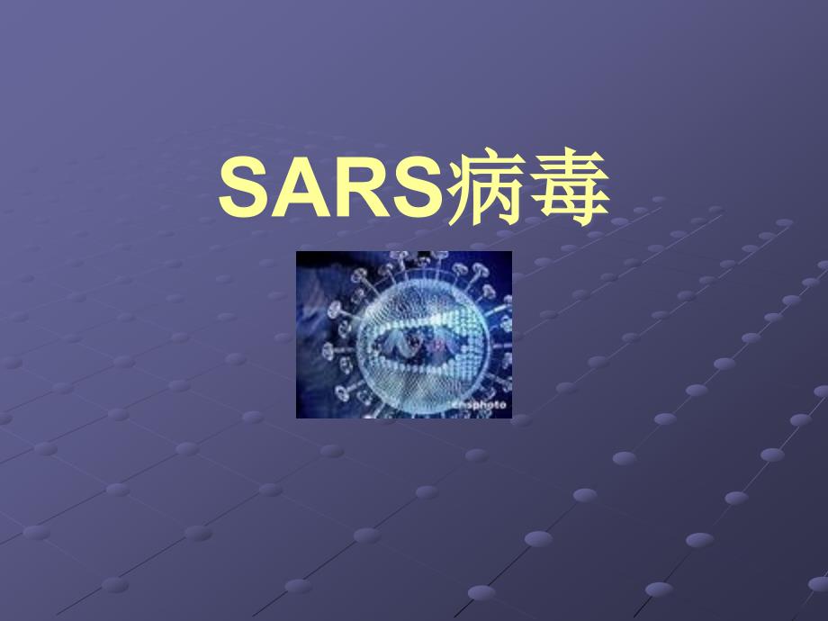 SARS病毒精编版_第1页