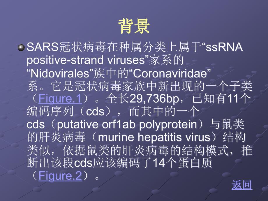SARS病毒精编版_第3页