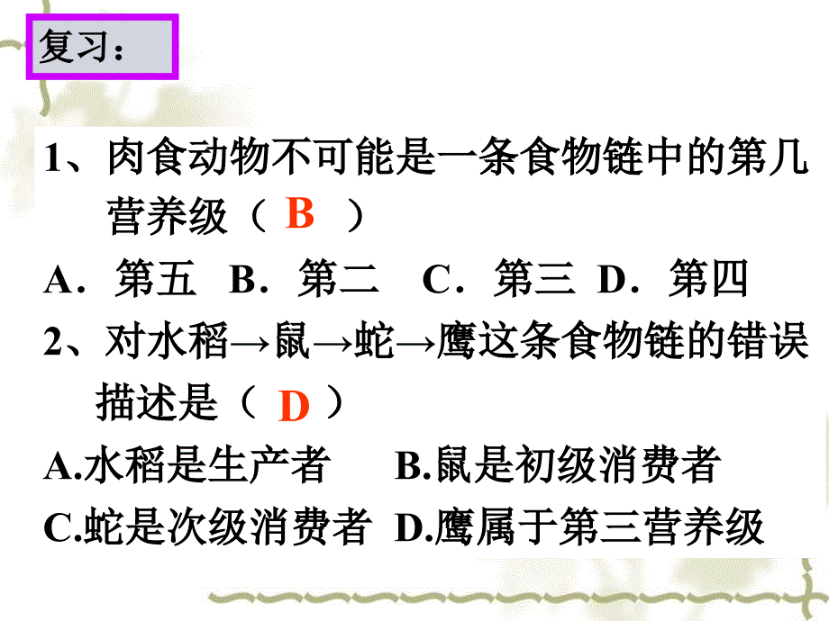 第3节 生态系统的物质循环_第3页