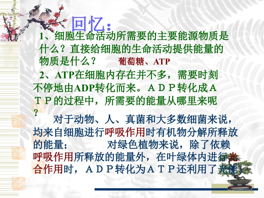 第三节 ＡＴＰ的主要来源_第2页