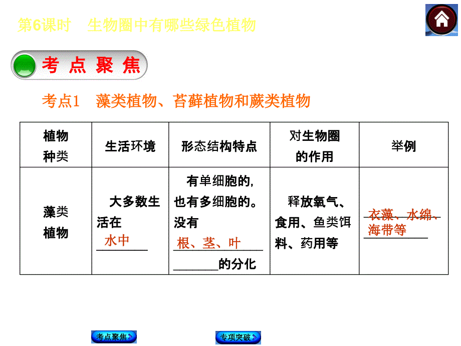 生物复习专题二课件_第2页