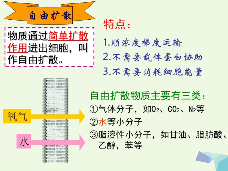 陕西省南郑县高中生物 4.3 物质跨膜运输的方式课件 新人教版必修1_第5页