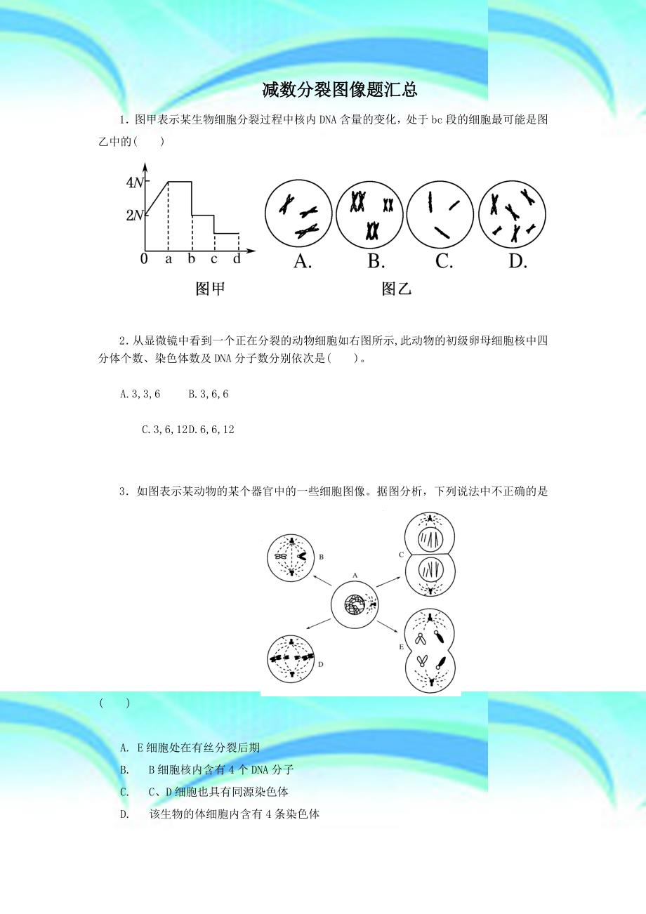 减数分裂识图辨析_第3页