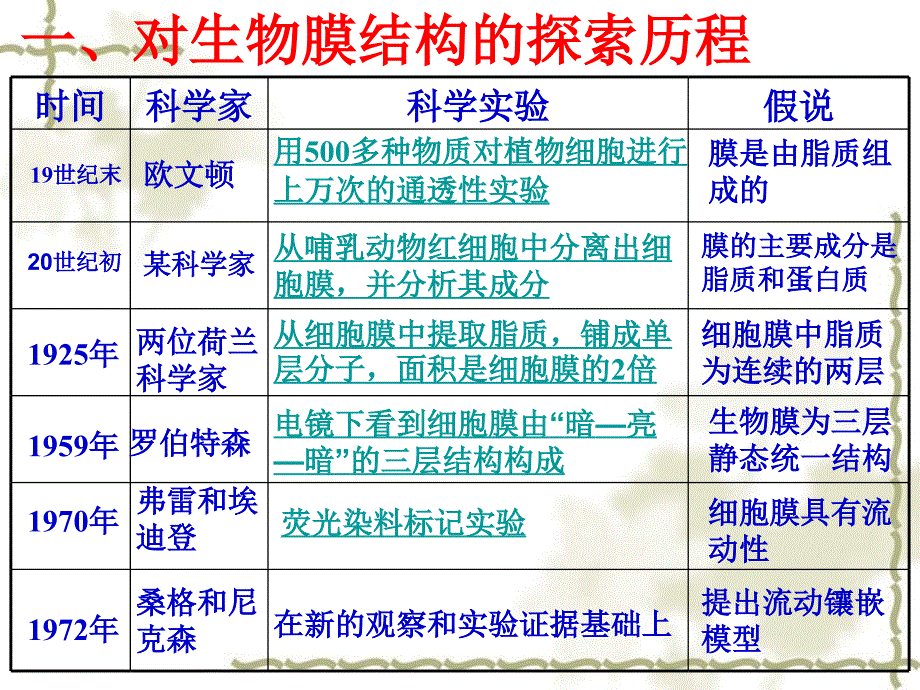 高一生物生物膜的流动镶嵌模型 新课标 人教版_第3页