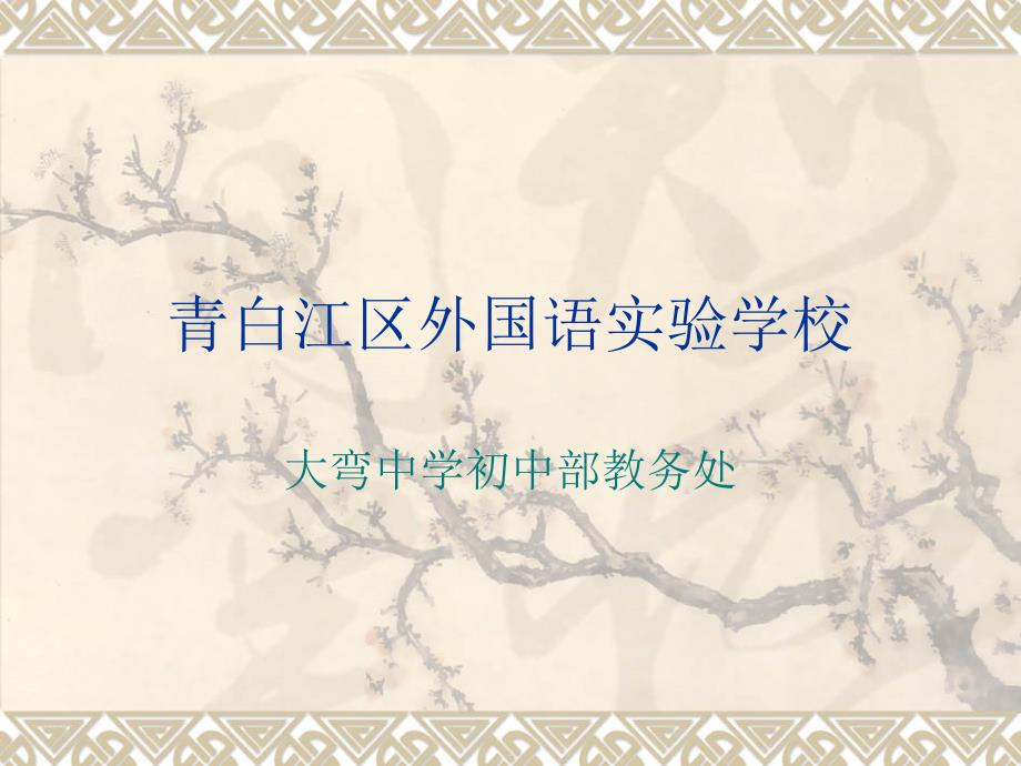 青白江区外国语实验学校09级分析课件_第1页