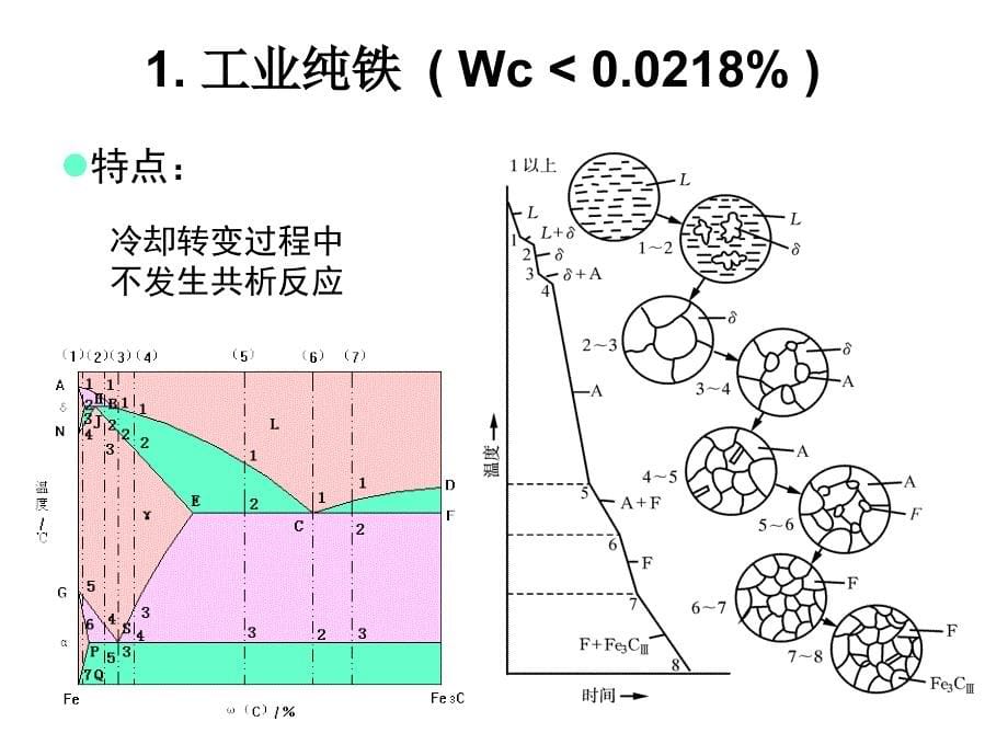 铁碳合金的平衡组织观察课件_第5页