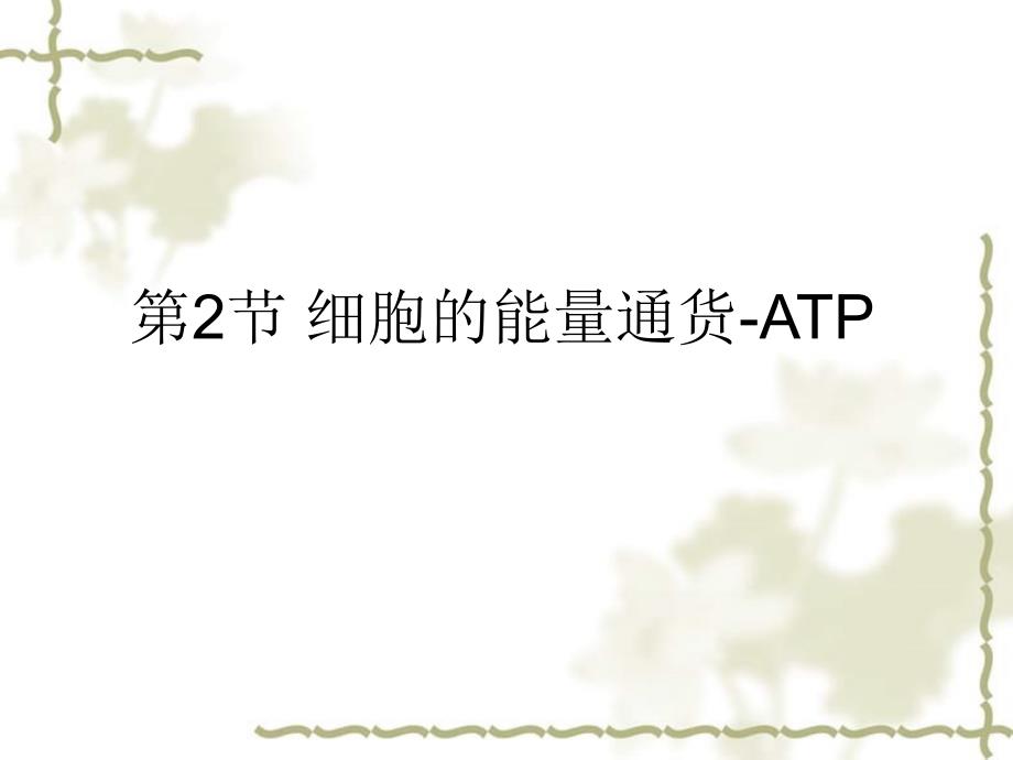 高一生物 5.2《细胞的能量“通货”—ATP》课件 新人教版必修1_第1页