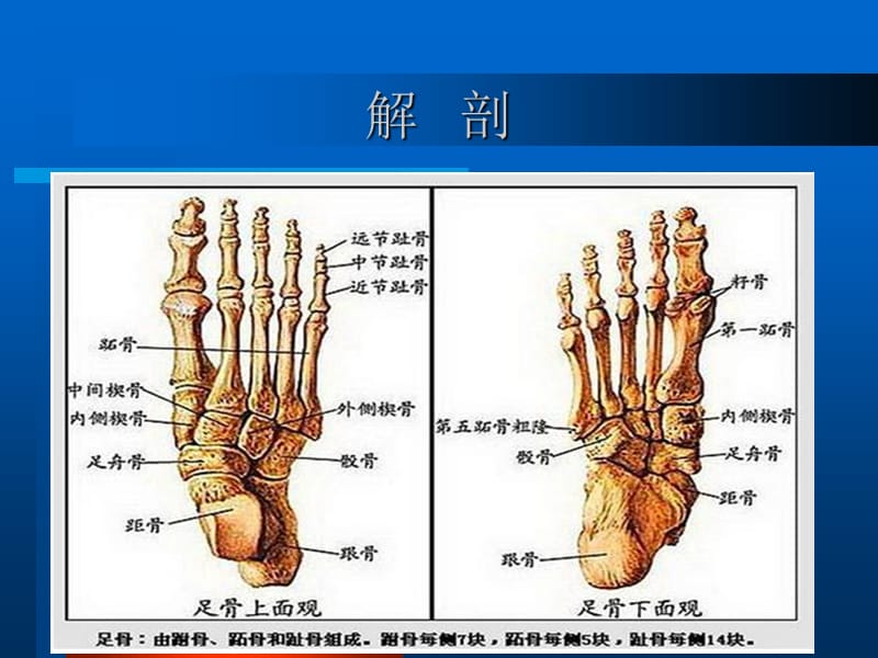 跟骨骨折患者的护理查房_第2页