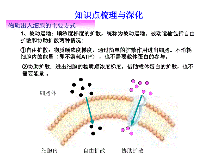 物质运输方式、酶、ATP课件_第2页