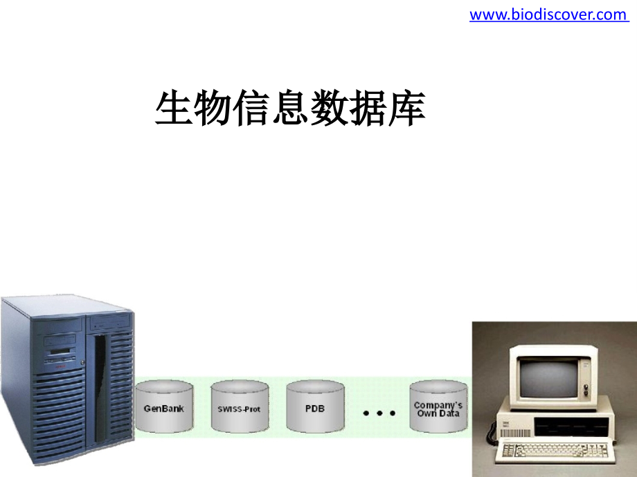 生物信息数据库课件_第1页