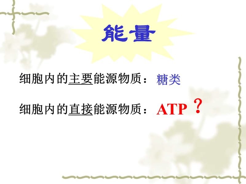 第四章 ATP和酶一 新课标 人教版_第3页