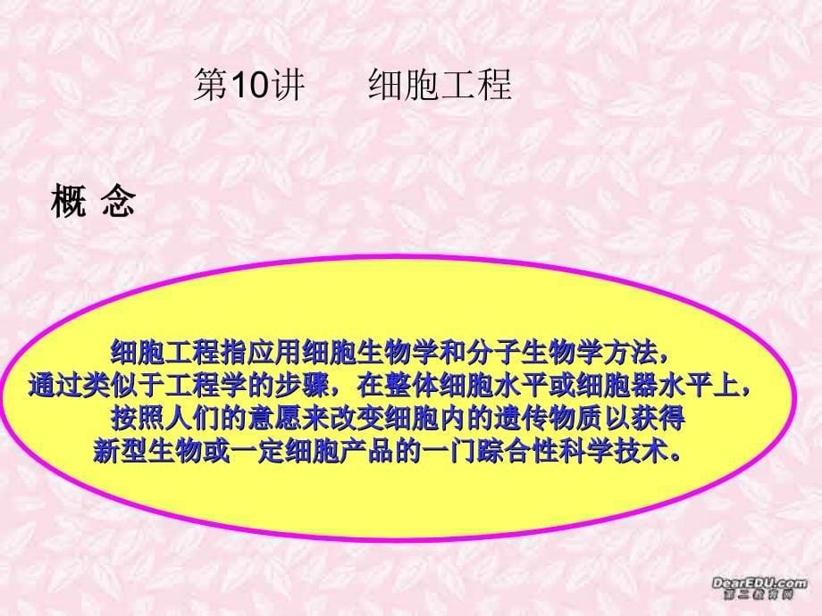 细胞工程湖南省湘钢一中高三生物第一轮复习课件 人教版_第5页