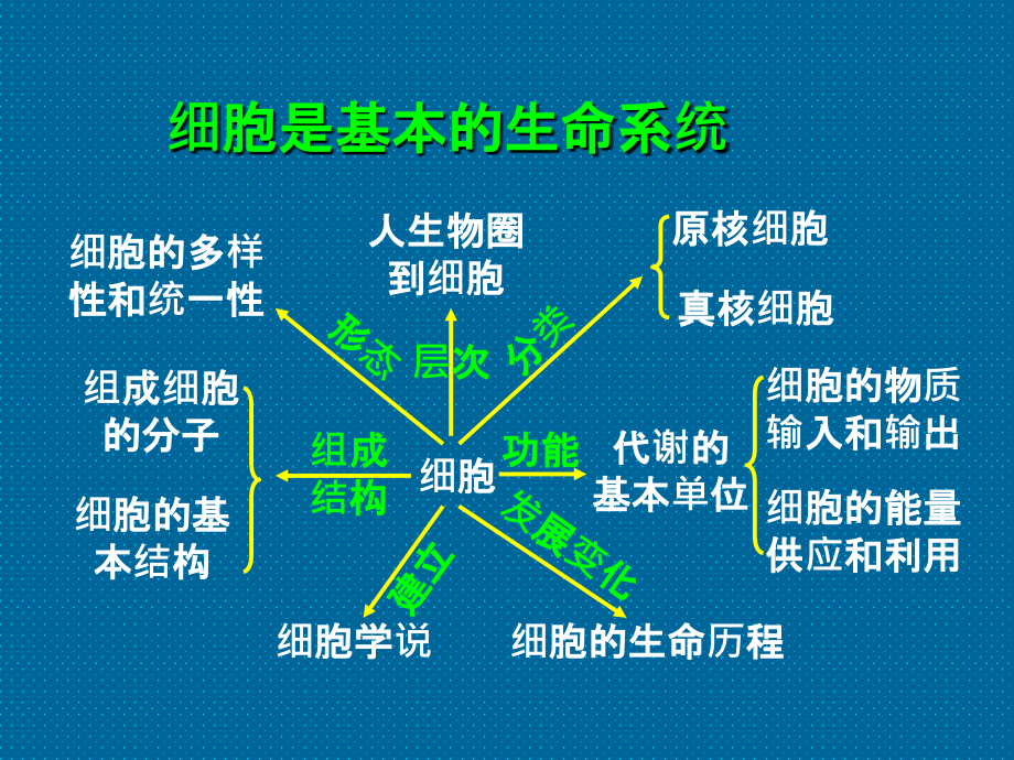 高三生物必修1复习ppt课件_第3页