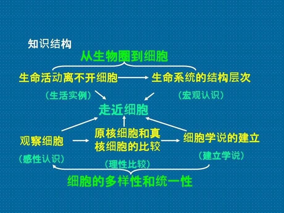 高三生物必修1复习ppt课件_第5页