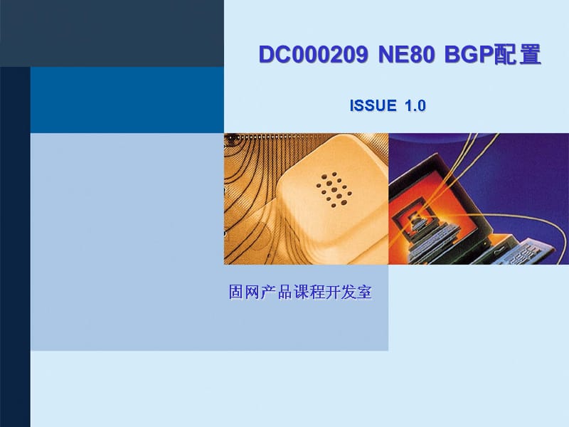 数据通信调测工程师培训资料 NE80 BGP配置ISSUE1.0..ppt_第1页