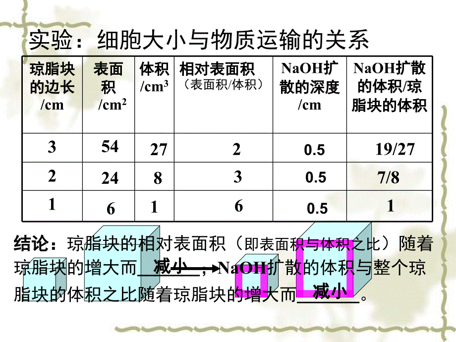 高一生物 6.1《细胞的增殖》课件 新人教版必修1_第4页