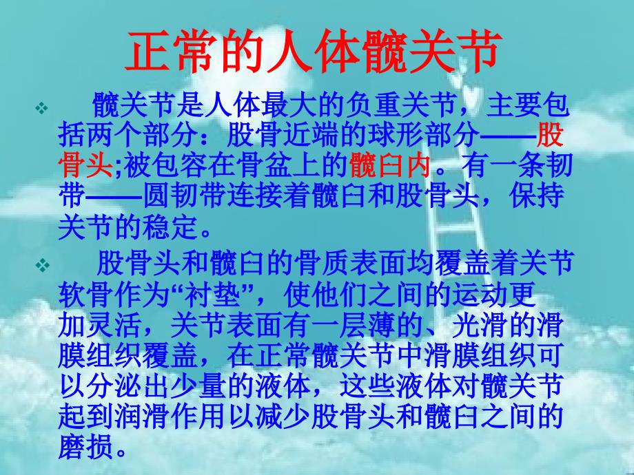 髋关节置换术后护理..ppt_第2页