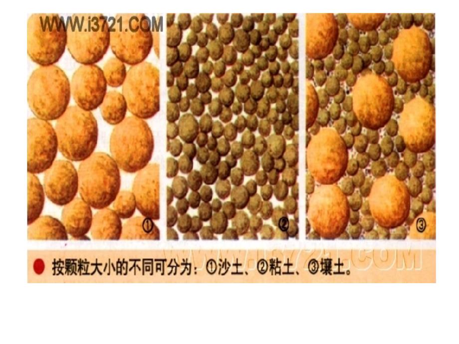 青岛版小学科学8土壤的种类课件_第4页