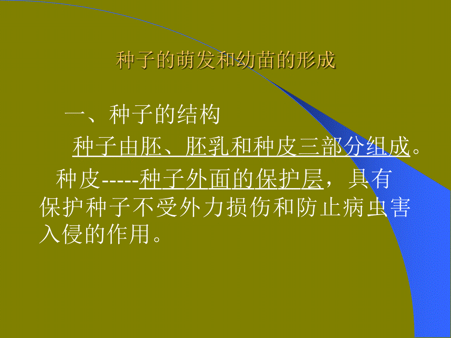 种子及植物的营养器官生物竞赛课件_第3页