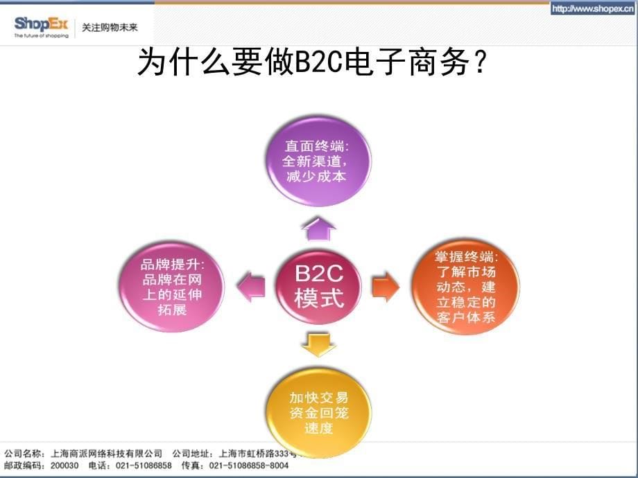 B2C电子商务整合之道精编版_第5页