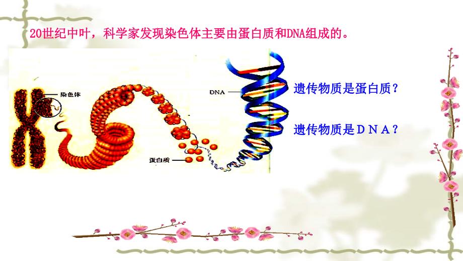 高中生物 第3章 基因的本质 第1节 DNA是主要的遗传物质课件 新人教版必修2_第3页