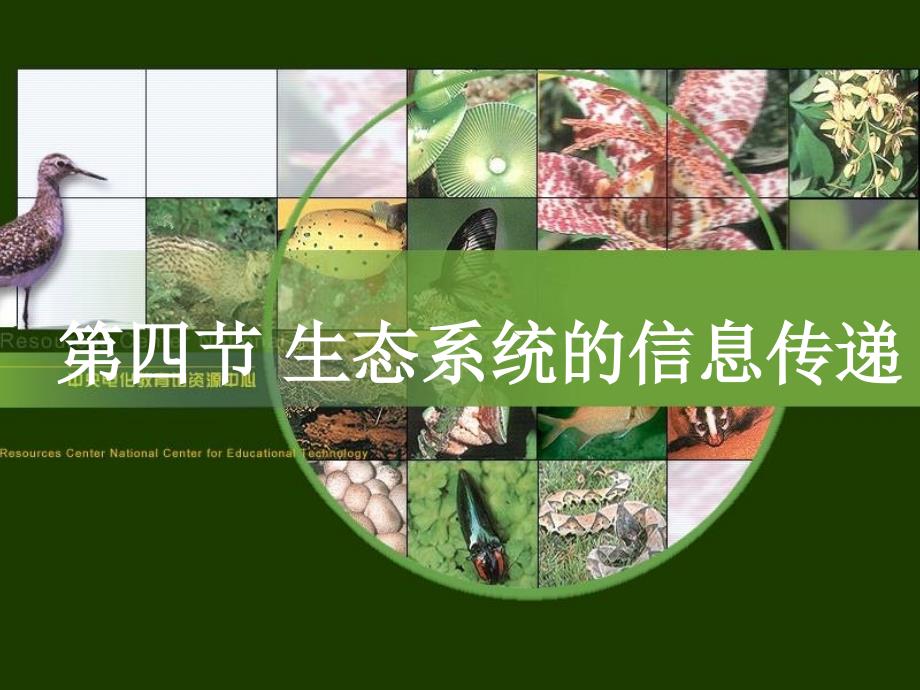 高中生物：第四节生态系统的信息传递的分析课件人教必修3_第1页