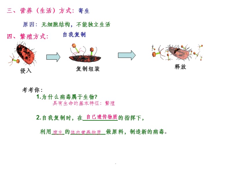 我：生物圈中的微生物(病毒、细菌、真菌)ppt课件_第5页