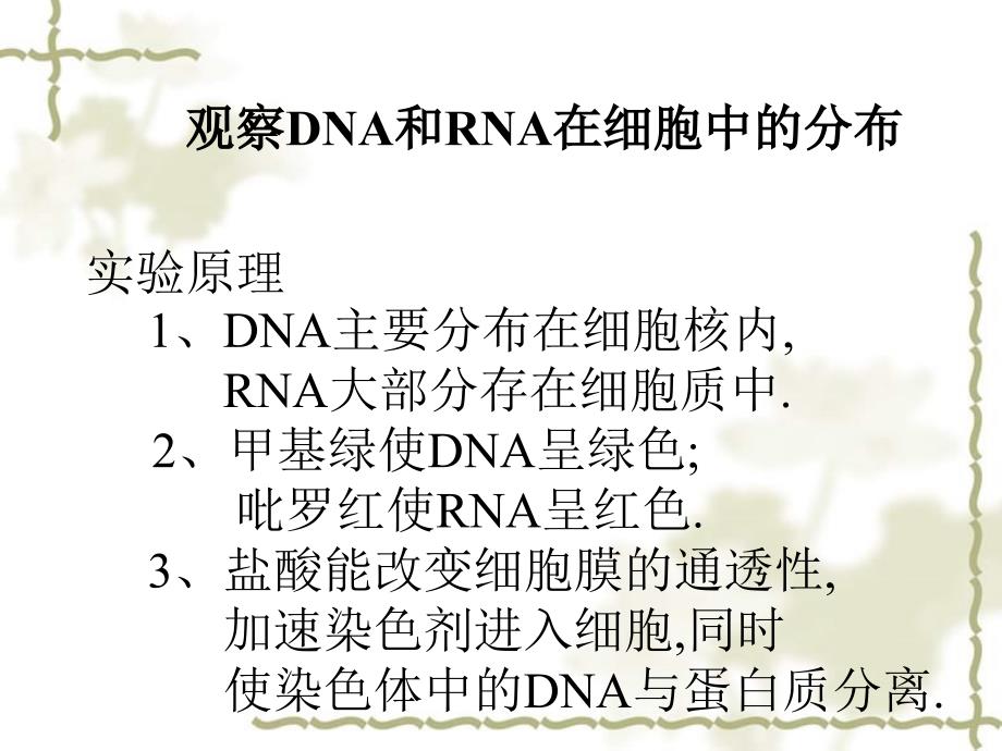 高中生物：2.3《遗传信息的携带者——核酸》课件（3）（新人教版必修1）_第2页