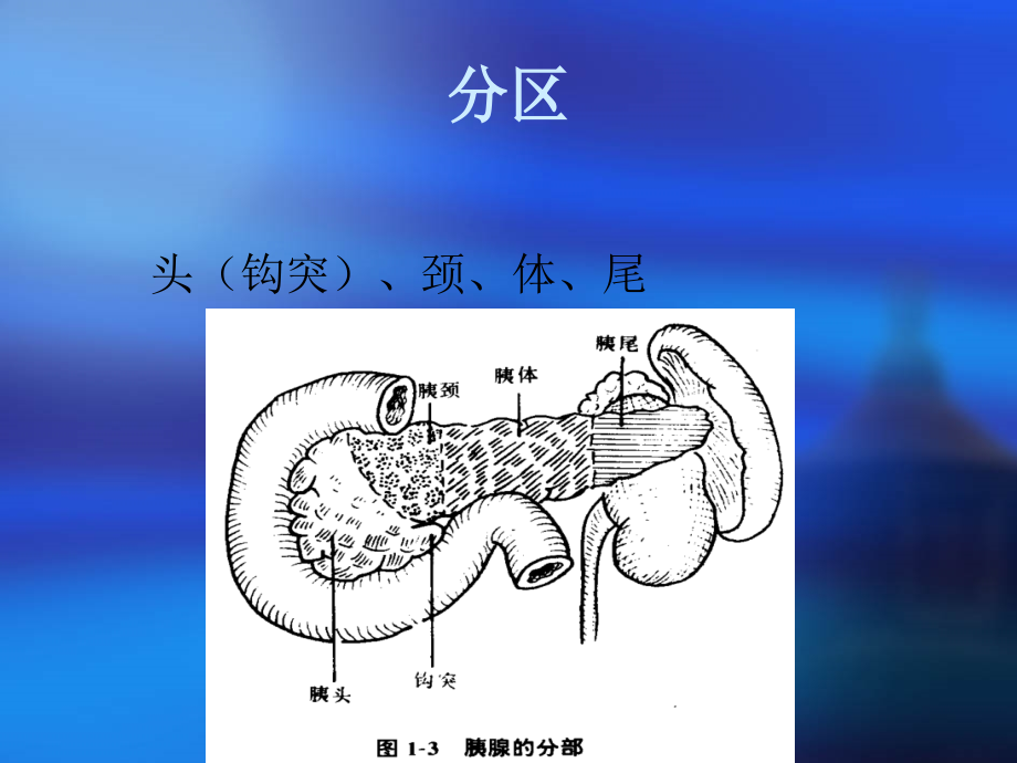 急性胰腺炎ppt81620_第3页