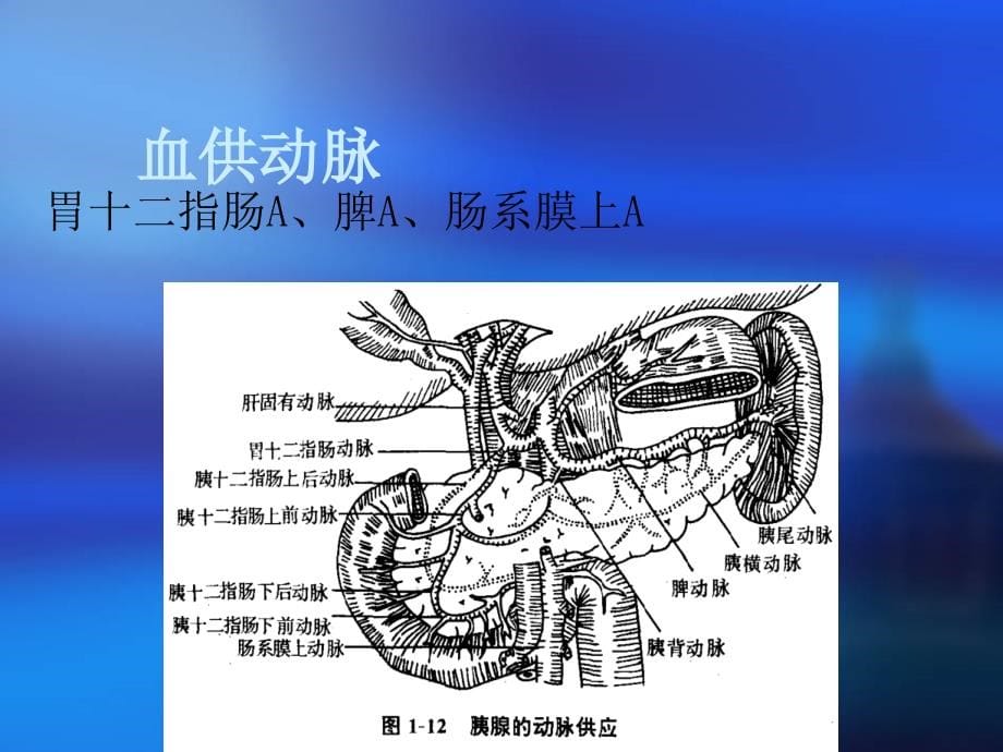 急性胰腺炎ppt81620_第5页