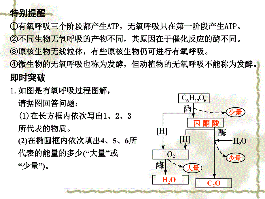 高考生物一轮复习 第4章 第11讲 ATP的主要来源——细胞呼吸课件 苏教必修1_第3页