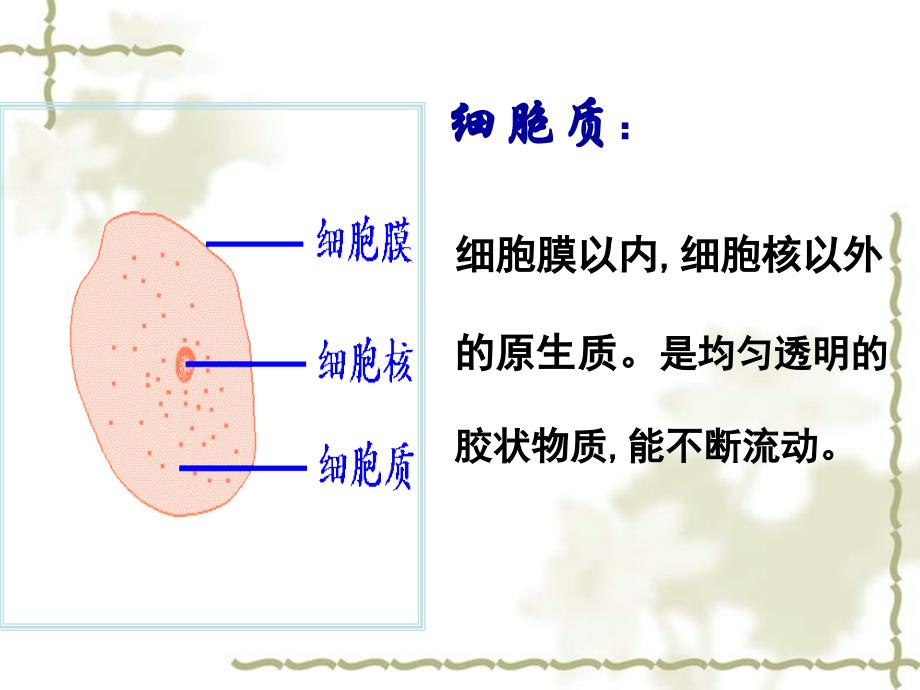 高中生物 《细胞器系统内的分工合作》课件 新人教版必修1_第2页