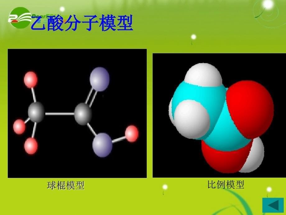 高中化学 第三节生活中两种常见的有机物乙酸教学课件 新人教版必修_第5页