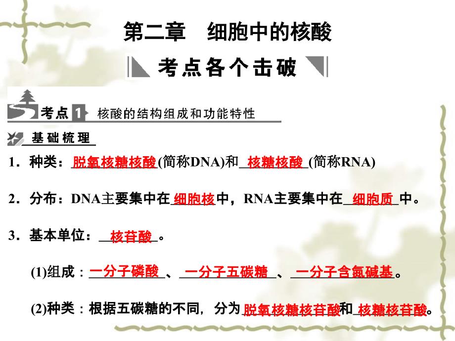 高考生物一轮复习 第2单元 22细胞中的核酸课件 中国必修1_第1页