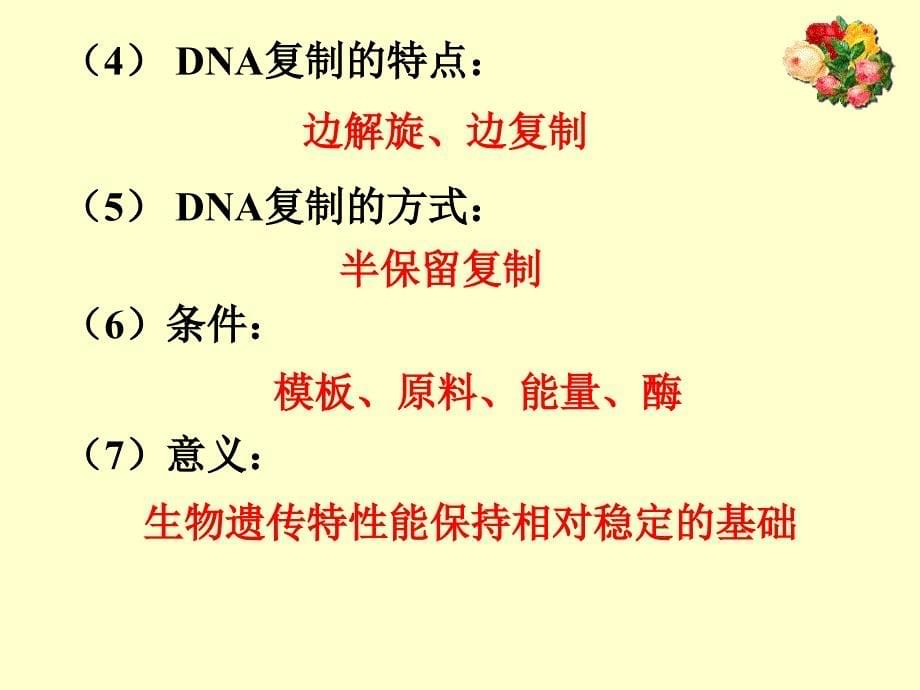 高中生命科学第二册 6.2 DNA的复制和蛋白质合成课件_第5页